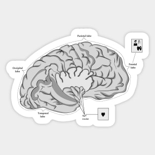 Brain frontal lobe Sticker